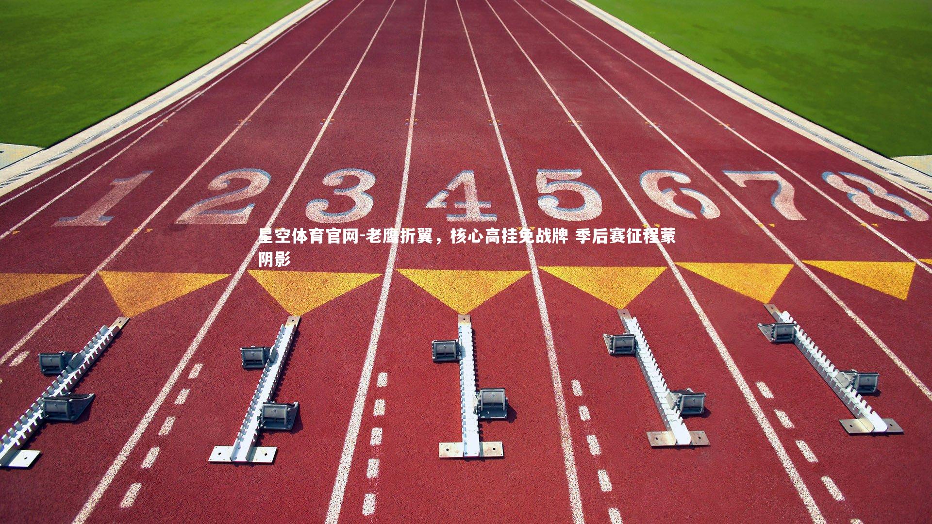 老鹰折翼，核心高挂免战牌 季后赛征程蒙阴影